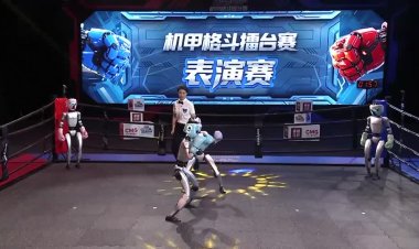 AI robot wins world's first mech fight