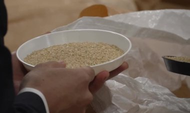 Japan taps rice reserves to curb prices