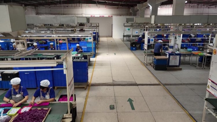 Chinese toy firm hit hard by U.S. tariffs