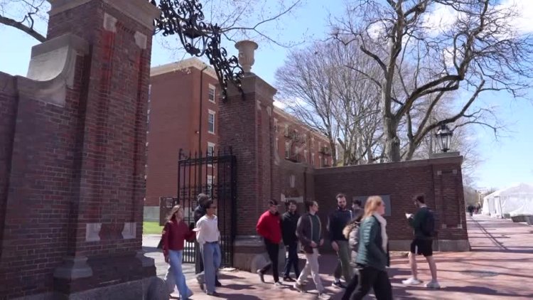 Judge blocks Trump move against Harvard