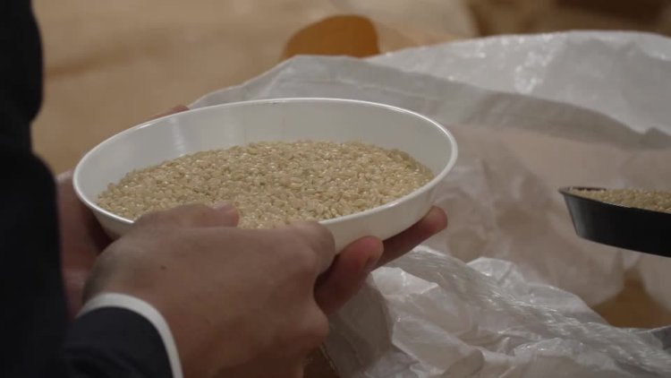 Japan taps rice reserves to curb prices