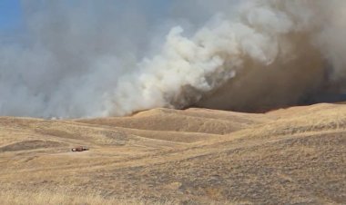 Dogs Fire scorches over 4,400 acres