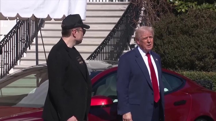 Tesla rebounds 5% after steep sell-off