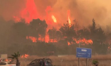 Second death as wildfires spread in Türkiye