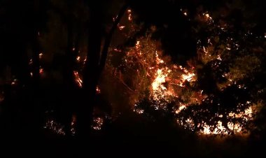 Syria battles wildfires for sixth day