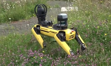 Scotland deploys 5G to aid smart farming