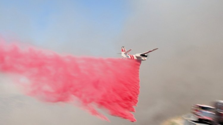 Wolf Fire spreads in California and Canada