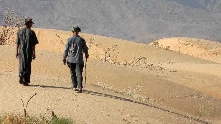 Algeria revives Green Dam project