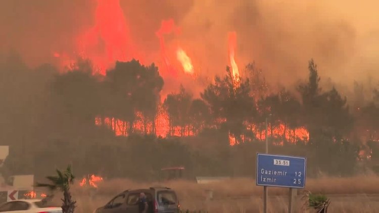 Second death as wildfires spread in Türkiye