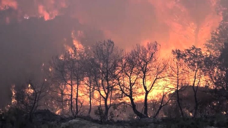 Wildfire rages in Catalonia's Pauls mountains