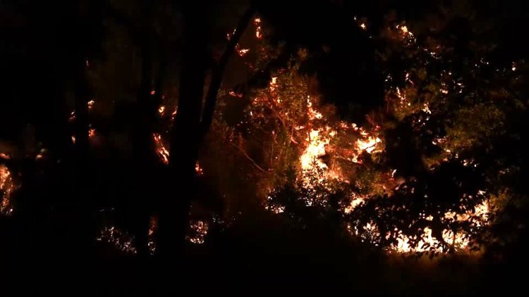 Syria battles wildfires for sixth day