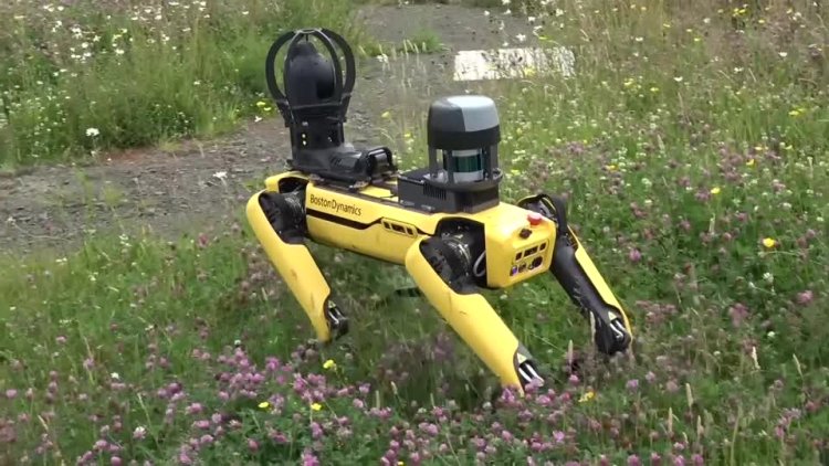 Scotland deploys 5G to aid smart farming