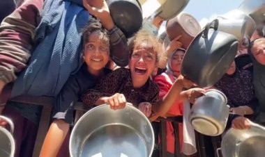Gaza hunger crisis worsens amid deadly aid chaos