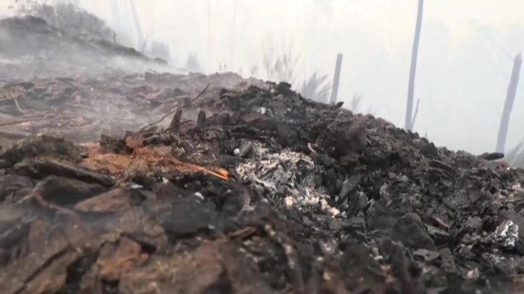 Wildfire spreads in Lugo’s Pantón parish