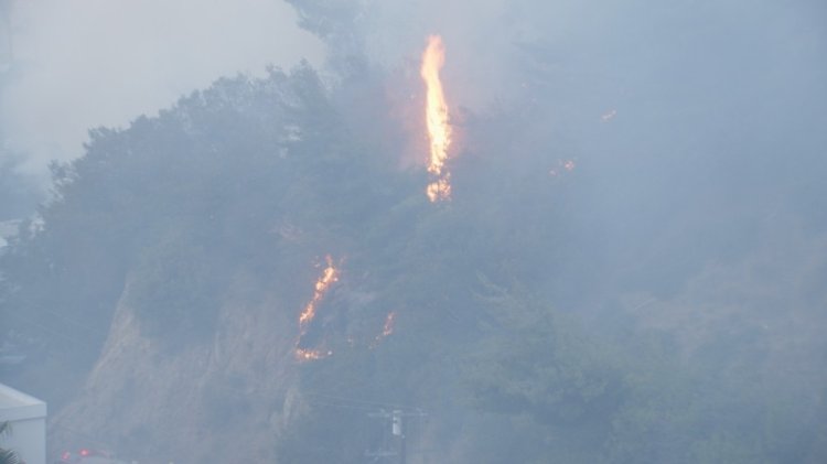 LA crews halt hillside fire threat