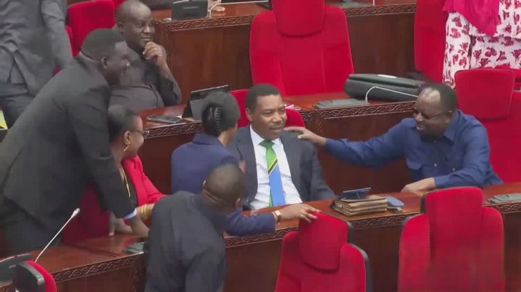 Tanzania appoints Nchemba as new prime minister