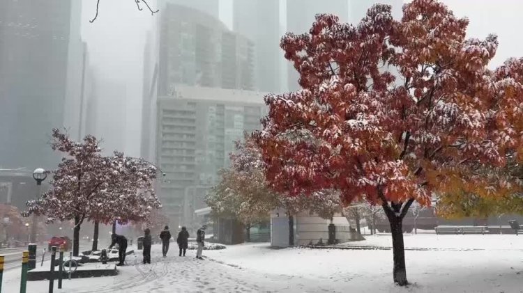 Toronto sees first snowfall of the season