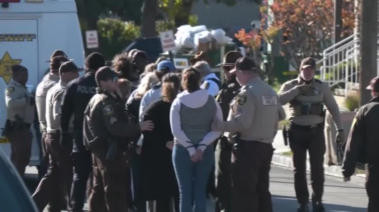 Mothers detained at protest over ICE daycare raid