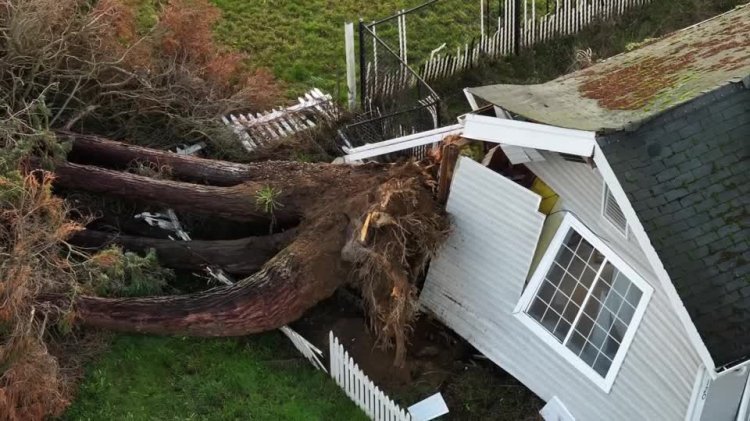 Flooding hits Washington white river