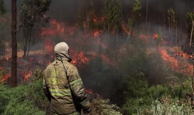 Winds rekindle wildfire near Cape Town