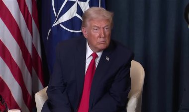 Trump to raise Greenland with NATO chief