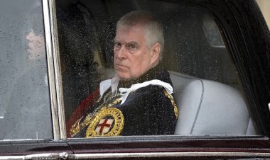 Epstein emails raise questions over Prince Andrew