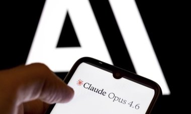 Anthropic alleges data scraping