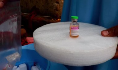 Malawi launches emergency polio drive