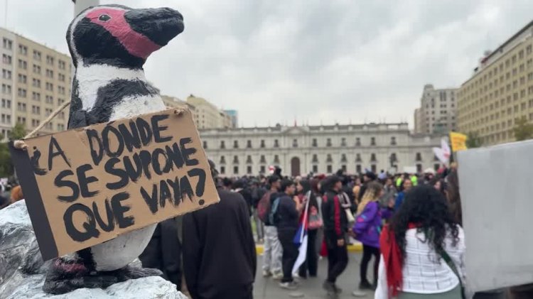 Chile water protests target decree pause