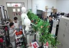 China unveils apple-picking robot