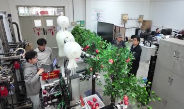 China unveils apple-picking robot