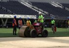 SoFi installs World Cup pitch