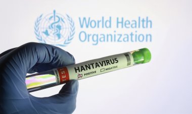 Spain plans cruise virus evacuations